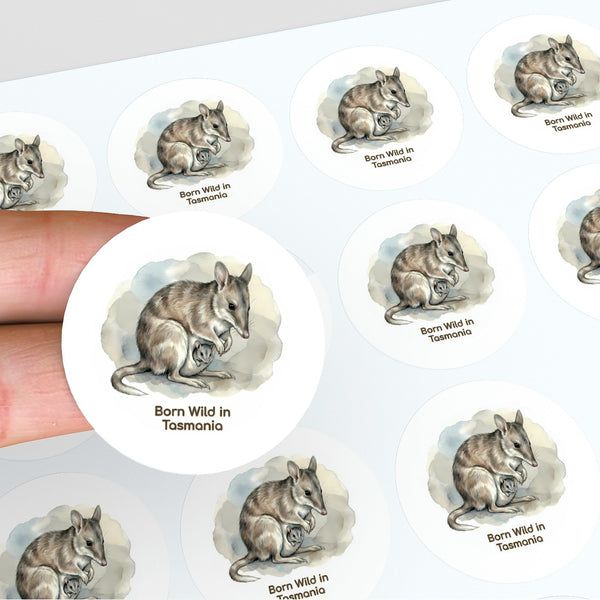 Born Wild in Tasmania Eastern Barred Bandicoot Sticker – Mother & Joey Wildlife Art