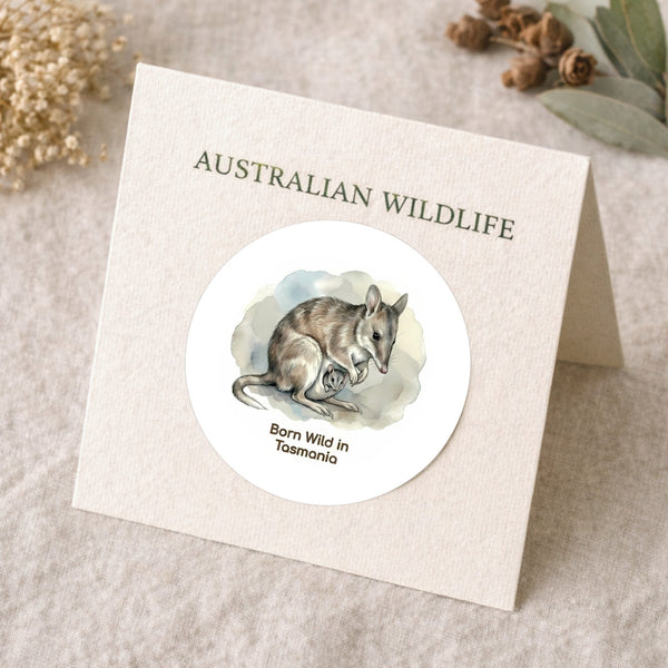 Born Wild in Tasmania Eastern Barred Bandicoot Sticker – Mother & Joey Wildlife Art