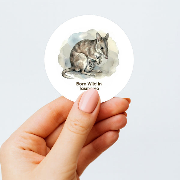 Born Wild in Tasmania Eastern Barred Bandicoot Sticker – Mother & Joey Wildlife Art