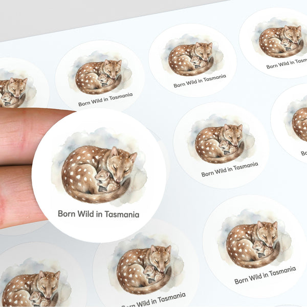 Born Wild in Tasmania Quoll Sticker – Tasmanian Wildlife Mother & Baby Round Sticker