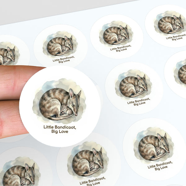 Eastern Barred Bandicoot Sticker – Little Bandicoot Big Love Mother & Joey Wildlife Art
