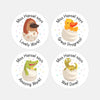 Personalised Hatching Baby Animals Teacher Reward Stickers Labels - Sticksy Prints Australia