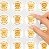 Personalised Lion Teacher Reward Stickers – Classroom Praise & Positive Reinforcement