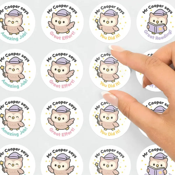 Personalised Owl Teacher Reward Stickers – Custom Name Classroom Praise Stickers - Sticksy Prints Australia
