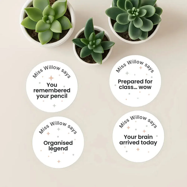 Personalised Pastel Confetti Organisation Stickers – Funny Teen Teacher Reward Stickers - Sticksy Prints Australia