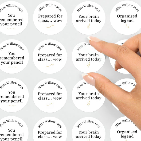 Personalised Sarcastic Behaviour Stickers for Teens – Minimalist Teacher Reward Stickers