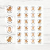 Personalised Teacher Reward Stickers – Cute Pony & Horse Classroom Praise Labels - Sticksy Prints Australia