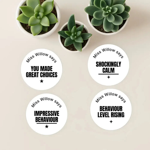 Personalised Teen Behaviour Stickers – Minimalist Bold Teacher Reward Stickers - Sticksy Prints Australia