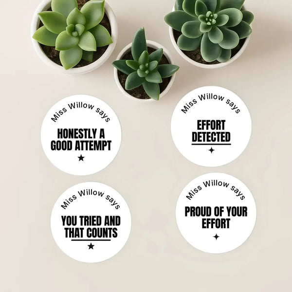 Personalised Teen Effort Stickers – Minimalist Bold Teacher Reward Stickers - Sticksy Prints Australia