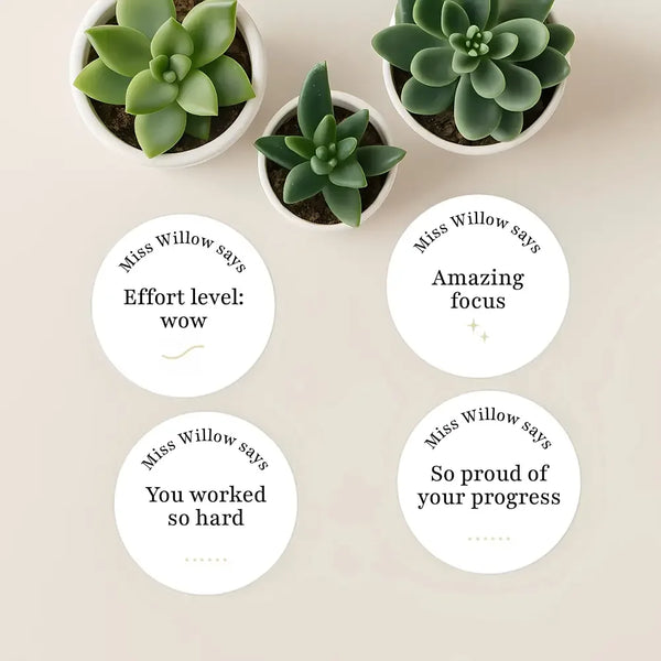 Personalised Teen Effort Stickers – Minimalist Progress & Focus Teacher Reward Stickers - Sticksy Prints Australia