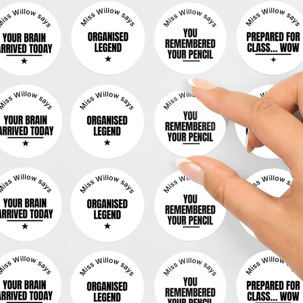 Personalised Teen Organisation Stickers – Funny Minimalist Teacher Reward Stickers