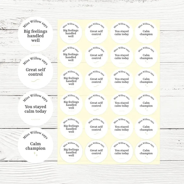 Personalised Teen Wellbeing Stickers – Minimalist Emotional Regulation Reward Stickers for Teachers - Sticksy Prints Australia
