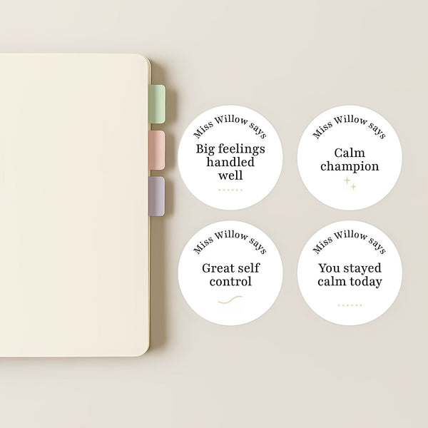Personalised Teen Wellbeing Stickers – Minimalist Emotional Regulation Reward Stickers for Teachers