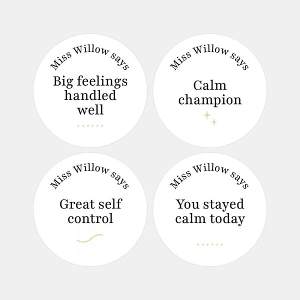 Personalised Teen Wellbeing Stickers – Minimalist Emotional Regulation Reward Stickers for Teachers - Sticksy Prints Australia
