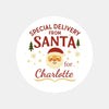 Special Delivery From Santa – Personalised Christmas Stickers - Sticksy Prints Australia