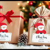 Create Festive Magic with Customised Personalised Santa Labels for Christmas 2025 - Sticksy Prints Australia