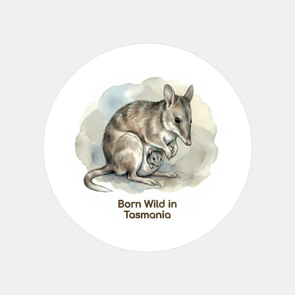 Born Wild in Tasmania Eastern Barred Bandicoot Sticker – Mother & Joey Wildlife Art