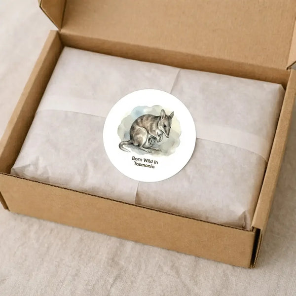 Born Wild in Tasmania Eastern Barred Bandicoot Sticker – Mother & Joey Wildlife Art - Sticksy Prints Australia