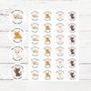 Devon Rex Cat Teacher Reward Stickers – Cute Cat Paw Classroom Stickers