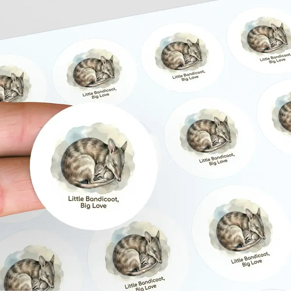 Eastern Barred Bandicoot Sticker – Little Bandicoot, Big Love Mother & Joey Wildlife Art - Sticksy Prints Australia