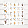 Devon Rex Cat Teacher Reward Stickers – Cute Cat Paw Classroom Stickers