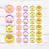 Personalised Rainbow Star Reward Stickers for Teachers | Bright Classroom Praise Labels