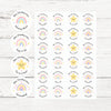 Personalised teacher stickers bundle, 6 cute animal and rainbow designs, assorted shapes, for praise and marking.
