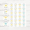 Personalised teacher stickers bundle, 6 cute animal and rainbow designs, assorted shapes, for praise and marking.