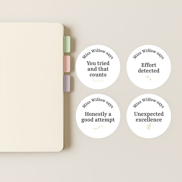 Funny Teen Behaviour Reward Stickers – Personalised Minimalist Teacher Stickers for Classroom Motivation