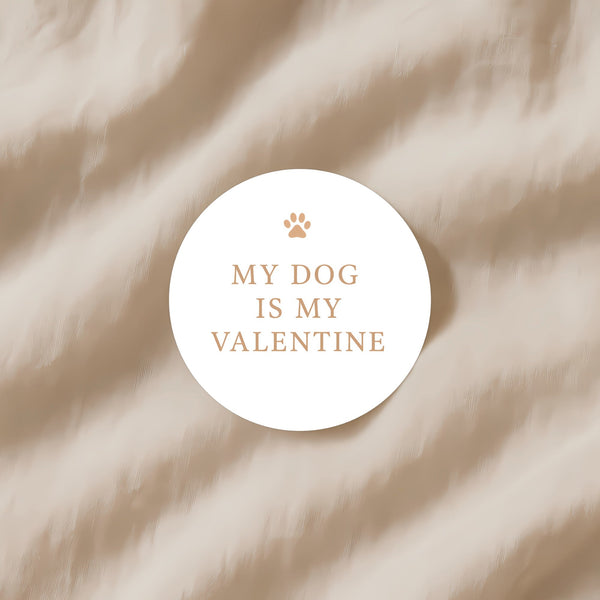 My Dog Is My Valentine Stickers – Funny Dog Lover Valentine Labels