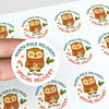 Owl Personalised Christmas Stickers – North Pole Delivery Label - Sticksy Prints Australia