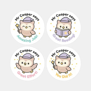 Personalised Owl Teacher Reward Stickers – Custom Name Classroom Praise Stickers