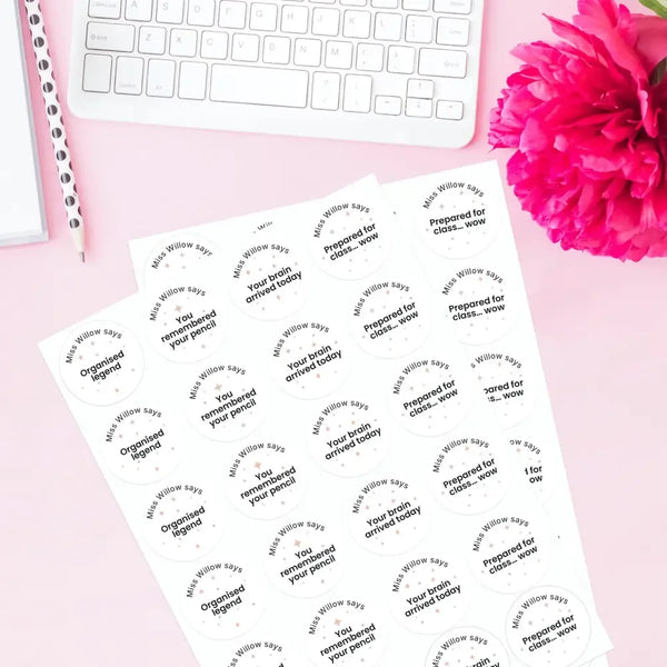 Personalised Pastel Confetti Organisation Stickers – Funny Teen Teacher Reward Stickers - Sticksy Prints Australia