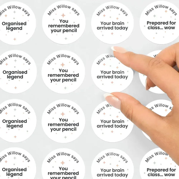 Personalised Pastel Confetti Organisation Stickers – Funny Teen Teacher Reward Stickers - Sticksy Prints Australia