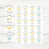 Personalised Teacher Reward Stickers – Pastel Star Trophy & Shooting Star Classroom Praise Labels