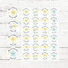 Personalised Teacher Reward Stickers – Pastel Star, Trophy & Shooting Star Classroom Praise Labels - Sticksy Prints Australia