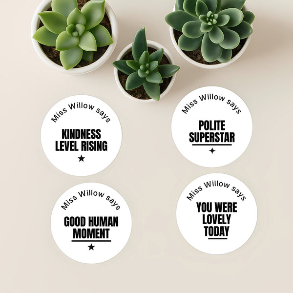 Personalised Teen Kindness Stickers – Minimalist Funny Teacher Reward Labels