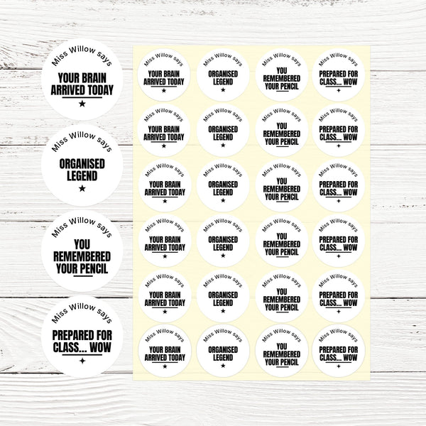 Personalised Teen Organisation Stickers – Funny Minimalist Teacher Reward Stickers