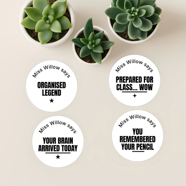 Personalised Teen Organisation Stickers – Funny Minimalist Teacher Reward Stickers