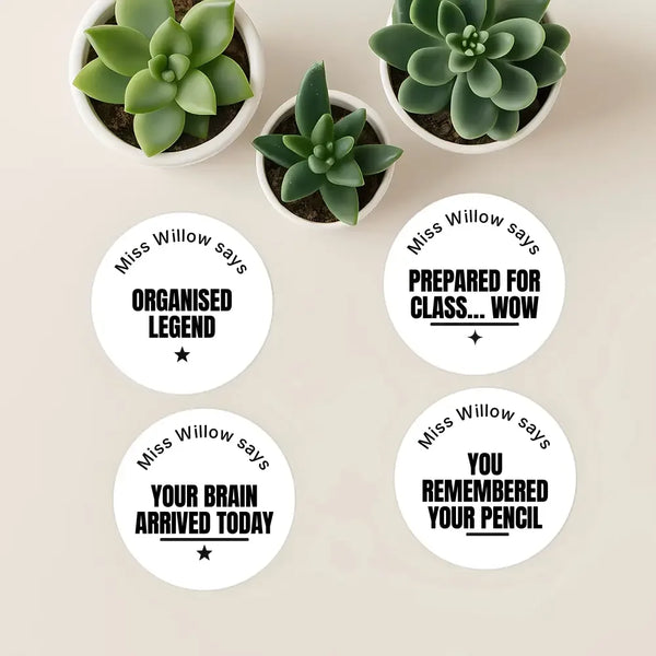 Personalised Teen Organisation Stickers – Funny Minimalist Teacher Reward Stickers - Sticksy Prints Australia