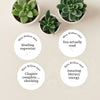 Personalised Teen Reading Stickers – Minimalist Funny Literacy Reward Stickers for High School Teachers - Sticksy Prints Australia