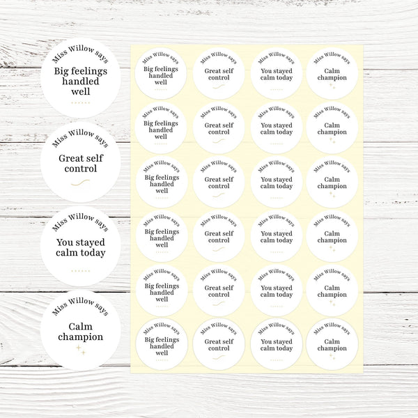 Personalised Teen Wellbeing Stickers – Minimalist Emotional Regulation Reward Stickers for Teachers