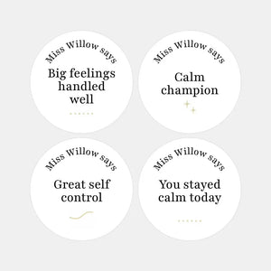 Personalised Teen Wellbeing Stickers – Minimalist Emotional Regulation Reward Stickers for Teachers
