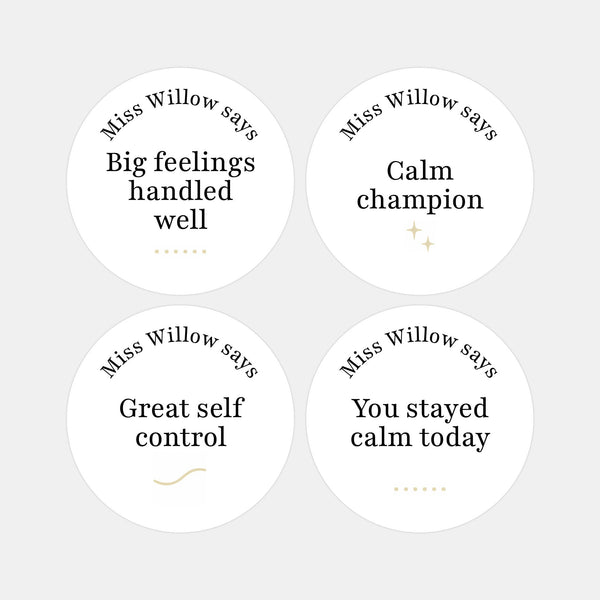 Personalised Teen Wellbeing Stickers – Minimalist Emotional Regulation Reward Stickers for Teachers