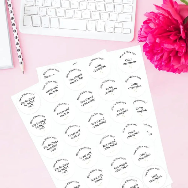 Personalised Teen Wellbeing Stickers – Minimalist Emotional Regulation Reward Stickers for Teachers - Sticksy Prints Australia